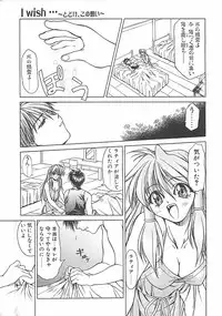 [Shizaki Masayuki] Abyssinian