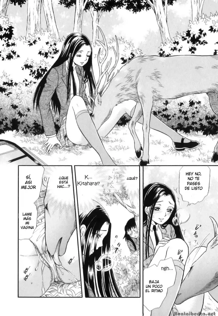Shoujo-tachi no Yukue ~Shishigami no Mori~ | Divine Deer Forest ~Girls' Whereabouts~