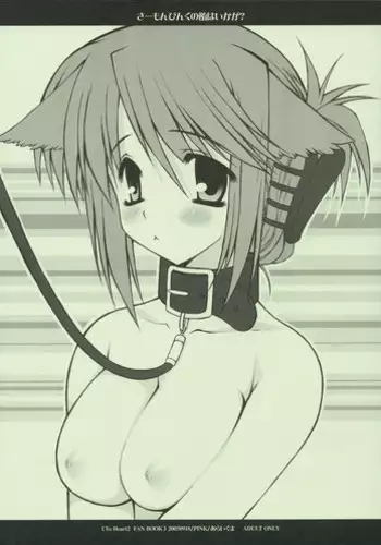 [PINK (Araiguma)] Ririchiyo-sama to Denki Anmaki (Inu x Boku SS)