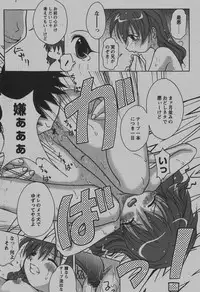 COMIC Hime Dorobou 2007-12