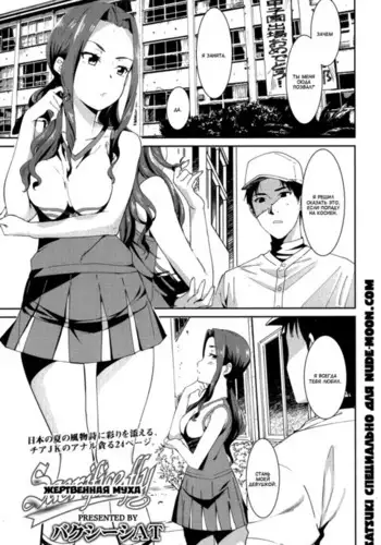 僕が好きなあの子が橋の下で他の男に抱かれまくっていた