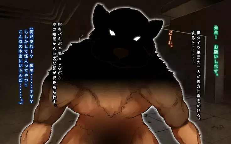 Seigi no Heroine Tatakai no Kiroku