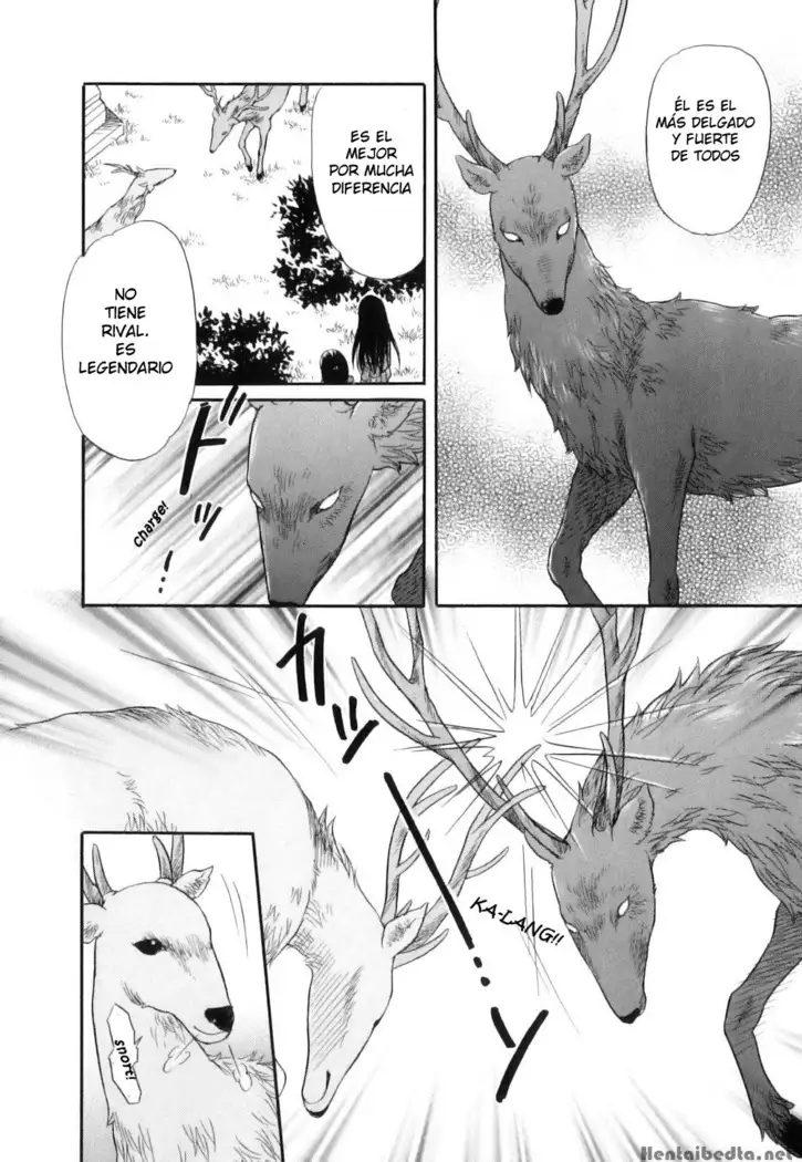 Shoujo-tachi no Yukue ~Shishigami no Mori~ | Divine Deer Forest ~Girls' Whereabouts~