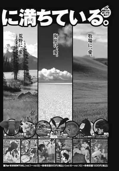 Bishoujo Kakumei KIWAME 2010-10 Vol.10