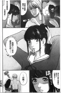 Tadashii Koubi no Susume | 正確的交尾法推薦你