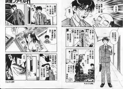 Chousa File H - Investigation File