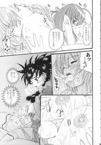 (C70) [Kesson Shoujo (Enigma)] KS Extra #4 (Mai-Otome)