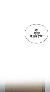 Take a Peek 偷窥 Ch.39~50 [Chinese]中文