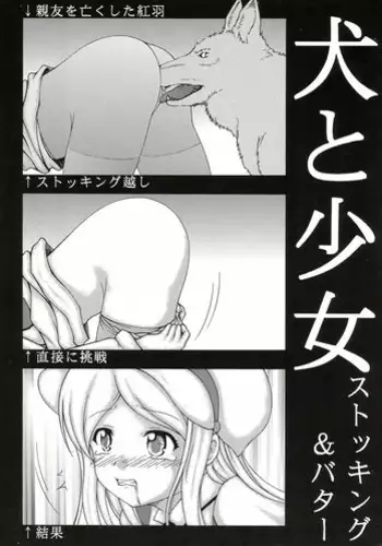 天津風を監禁して観察するすけべ本
