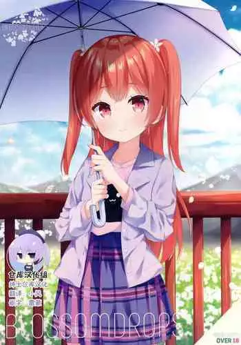 BLOSSOMDROPS