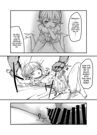 Elf o Okasu Hon | A Book About Raping an Elf