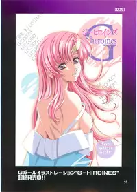 (C70)[Hen Rei Kai (Kawarajima Kou)] SEED ANOTHER CENTURY D.E. 2 (Gundam SEED Destiny)