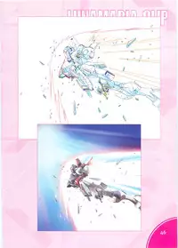 (C70)[Hen Rei Kai (Kawarajima Kou)] SEED ANOTHER CENTURY D.E. 2 (Gundam SEED Destiny)