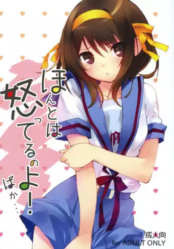 Is There Really a Social Networking Service to Meet With the School Idol? Compensated Dating With Eri-chika
