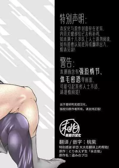 Professional Thief | 采花怪盗偷心贼