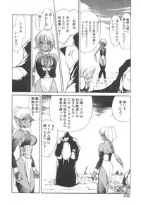 [Fujisaki Makoto] Dark Wirbel Konran-hen