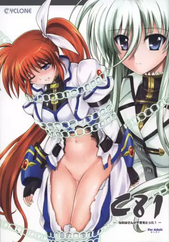 [Cyclone (Izumi Kazuya)] SSDD (Mahou Shoujo Lyrical Nanoha)