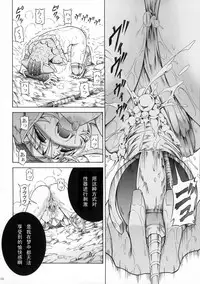 (C90) [Yokohama Junky (Makari Tohru)] Solo Hunter-tachi no Seitai (Monster Hunter) [Chinese] [中国翻訳] [VK1062喵&萌紋 漢化]