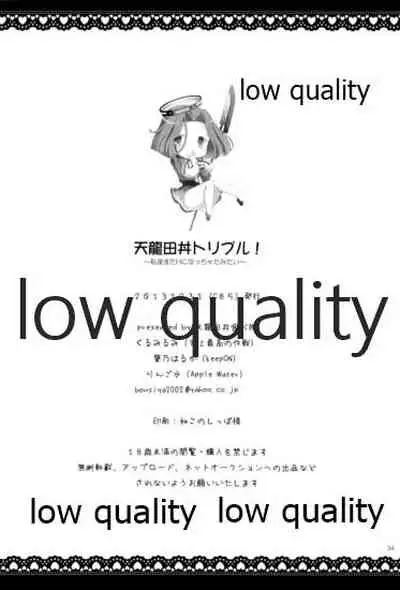 天龍田丼トリプル!