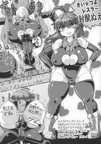 (Reitaisai 14) [Stapspats (Various)] GENSOUKYO FUTANARI CHINPO WRESTLING 5th Anniversary Memorial Book (Touhou Project)