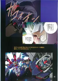 (C70)[Hen Rei Kai (Kawarajima Kou)] SEED ANOTHER CENTURY D.E. 2 (Gundam SEED Destiny)