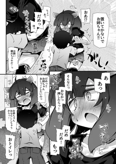 Tohoku no Chicchai Onee-chan ga Maigo no Otokonoko ni Kimochi Ii Ijirikata toka Oshiete Agechau no