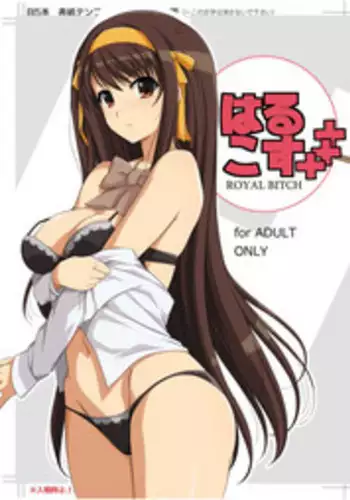 [Royal Bitch (Haruhisky)] Haruhi Lingerie Collection 01 (Suzumiya Haruhi no Yuuutsu) [Decensored]