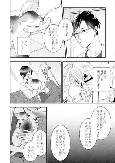 High Spec Danshi ni Natsukareteimasu
