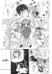 (C63) [Neko-bus tei (Shaa)] Neko-bus Tei no Hon vol.5 (Tsukihime)