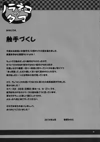 (SC64) [Noraneko-no-Tama (Yukino Minato)] Sora no Hate Made | To the End of the Sky [English] [Mant]
