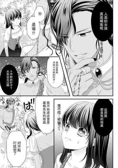 [Utage / Senzaki Hitomi] i sekai de zetsurin mado-shi ni kawa retara mechakucha dekiai sa rete imasu. | 在异世界被非凡的魔导师买下的话会被异常宠爱。 1-13 end [Chinese] [莉赛特汉化组]