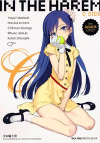 (C82) [Shoujo Kishidan (Oyari Ashito)] IN THE HAREM C SIDE (THE iDOLM@STER) [English] [Decensored]