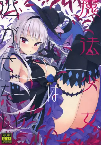 (C92) [High Tech Pen Case (Tam-U)] Mahou Shoujo wa Nigasanai [Chinese] [脸肿汉化组]