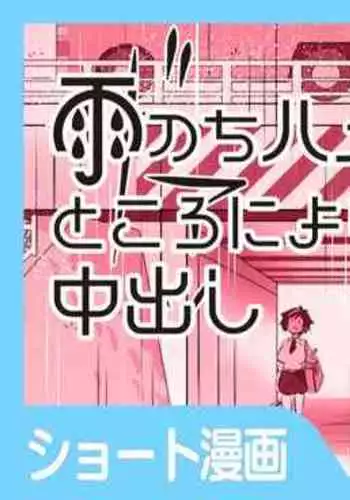 Paupai | 파우파이