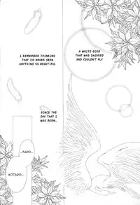 [Mizuno Tohko] Mimi to Shippo to Mahoutsukai [English] [Doki Doki]