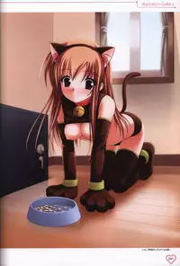 Shakkin Shimai＆Shakkin Shimai2 visual fanbook