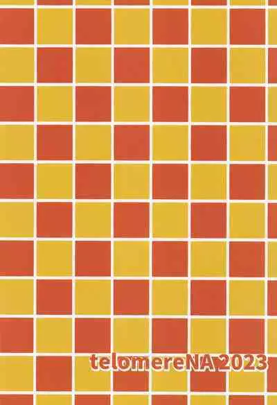 Otona no Himegoto | 大人的秘密