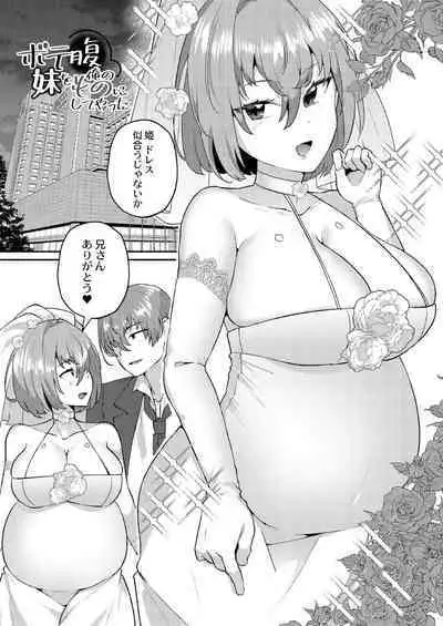Daijoubu. Jitsuimouto no Kouryakubon da yo.
