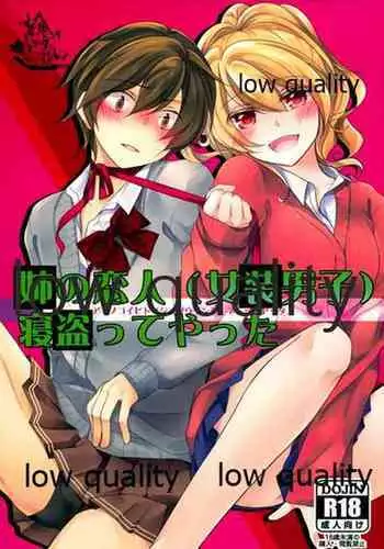 (COMITIA 112) [Mousou o Trunk ni Tsumete (Tokei)] Ane no Koibito (Josou Danshi) Netotte Yatta