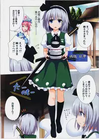 (Niigata Touhousai 12) [Kamikadou (Ginyou Haru)] Gensoukyou Rakuenka Keikaku 08 (Touhou Project)