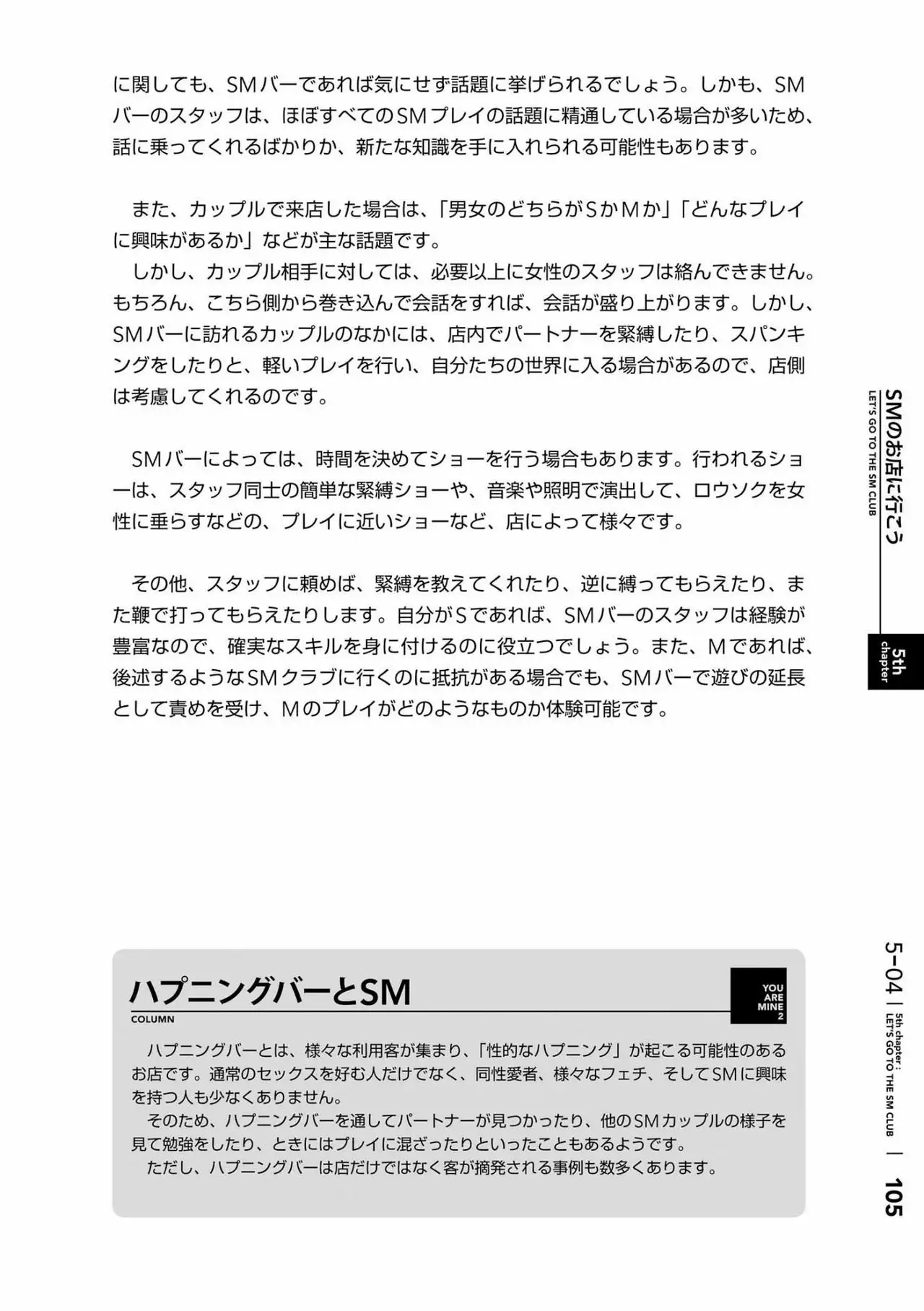 Karada mo Kokoro mo Boku no Mono ~Hajimete no SM Guide~ 2