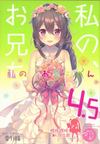 (C94) [TIES (Takei Ooki)] Watashi no, Onii-chan Kakioroshi (Watashi no, Onii-chan Soushuuhen) [Chinese] [水土不服汉化组]
