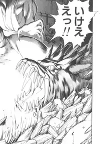[Fujisaki Makoto] Dark Wirbel Konran-hen
