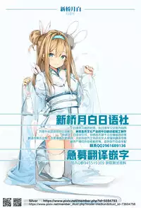 (C80) [Desuno!! (Fuyuwa Kotatsu)] Welcome to Wonder World (Touhou Project) [Chinese] [背景×新桥月白日语社]