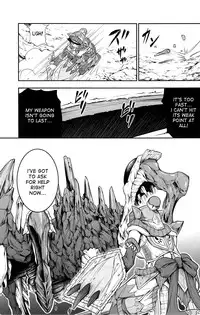 (C85) [Yokohama Junky (Makari Tohru)] Pair Hunter no Seitai Vol. 1 (Monster Hunter) [English] [desudesu]