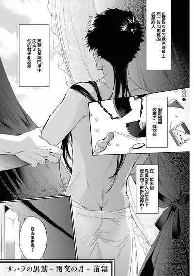 [Soutome Emu] Sahara no Kuro Washi 2 side Alkil | 撒哈拉的黑鹫2 雨夜的月亮 前篇 [Chinese] [冒险者公会] [Digital]