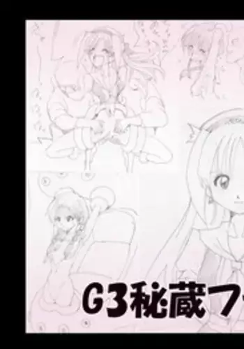 G3 Hizou File 04