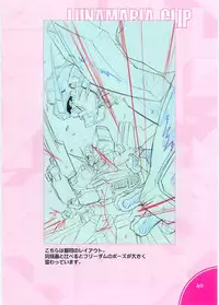 (C70)[Hen Rei Kai (Kawarajima Kou)] SEED ANOTHER CENTURY D.E. 2 (Gundam SEED Destiny)