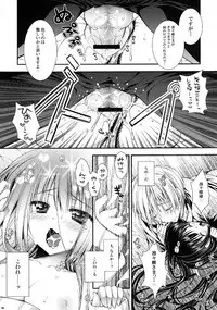[PINK (Araiguma)] Ririchiyo-sama to Denki Anmaki (Inu x Boku SS)