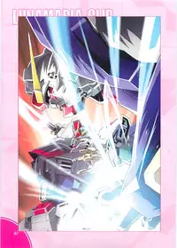 (C70)[Hen Rei Kai (Kawarajima Kou)] SEED ANOTHER CENTURY D.E. 2 (Gundam SEED Destiny)